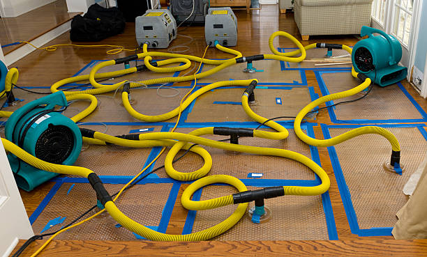Professional Basement Flood Cleanup technician working in Dayton, KY